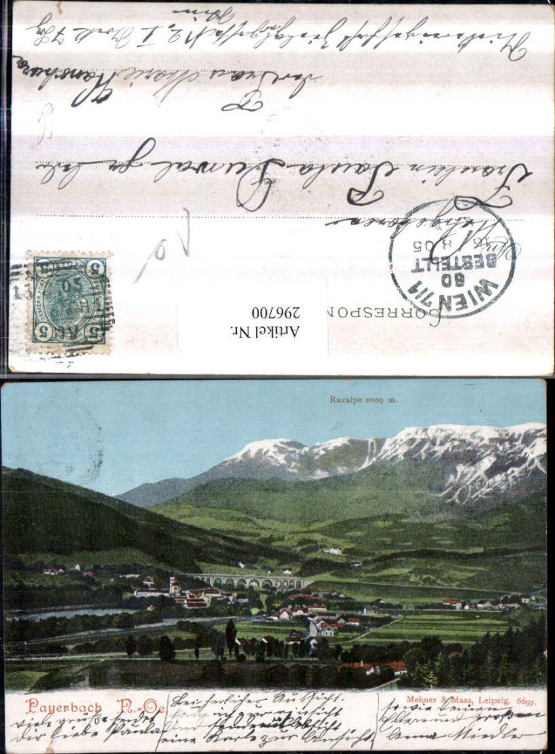 296700,Payerbach Totale m. Raxalpe Bergkulisse