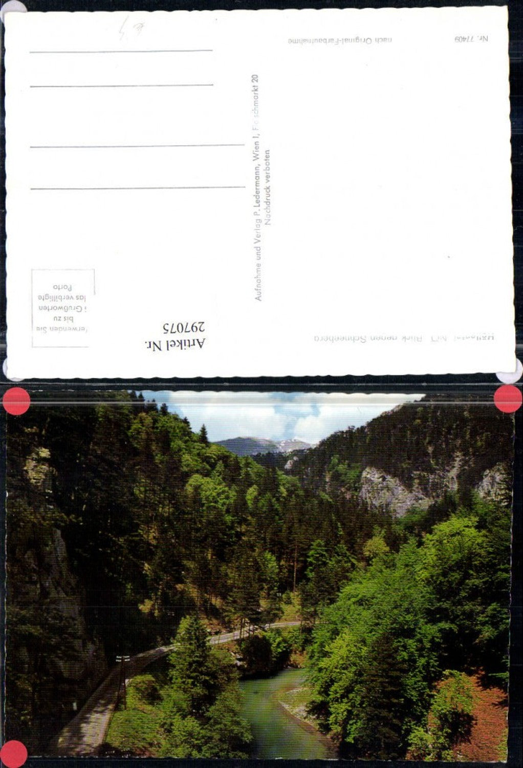 297075,Höllental Blick geg. Schneeberg b. Naßwald Schwarzau