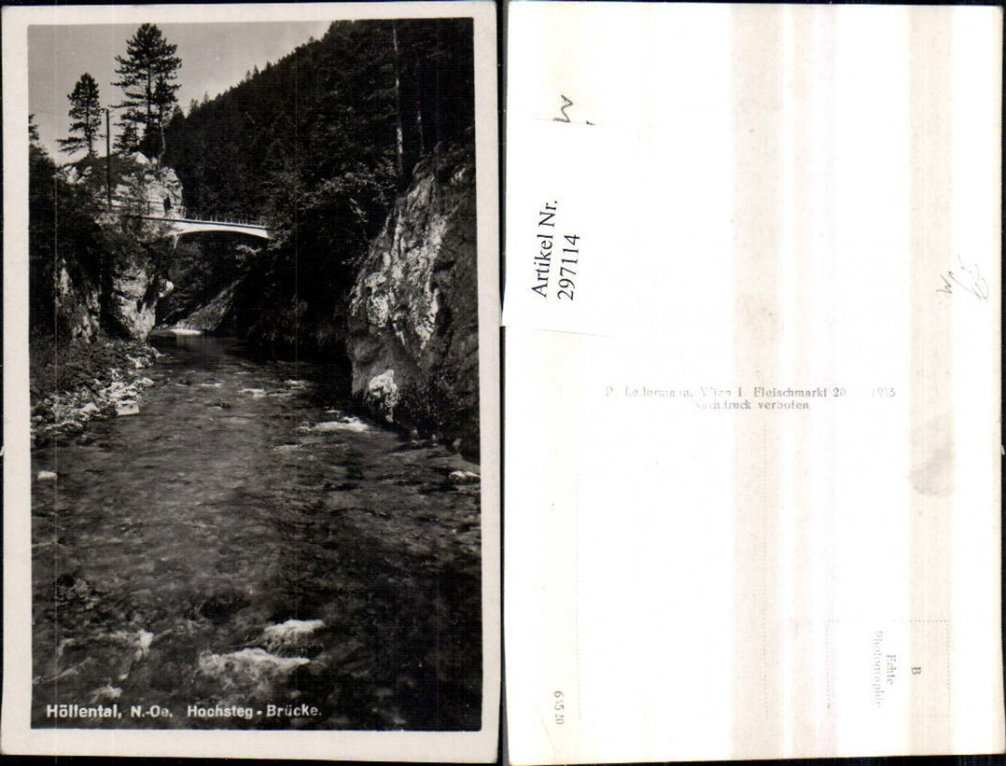 297114,Höllental Hochsteg-Brücke Partie b. Naßwald Schwarzau