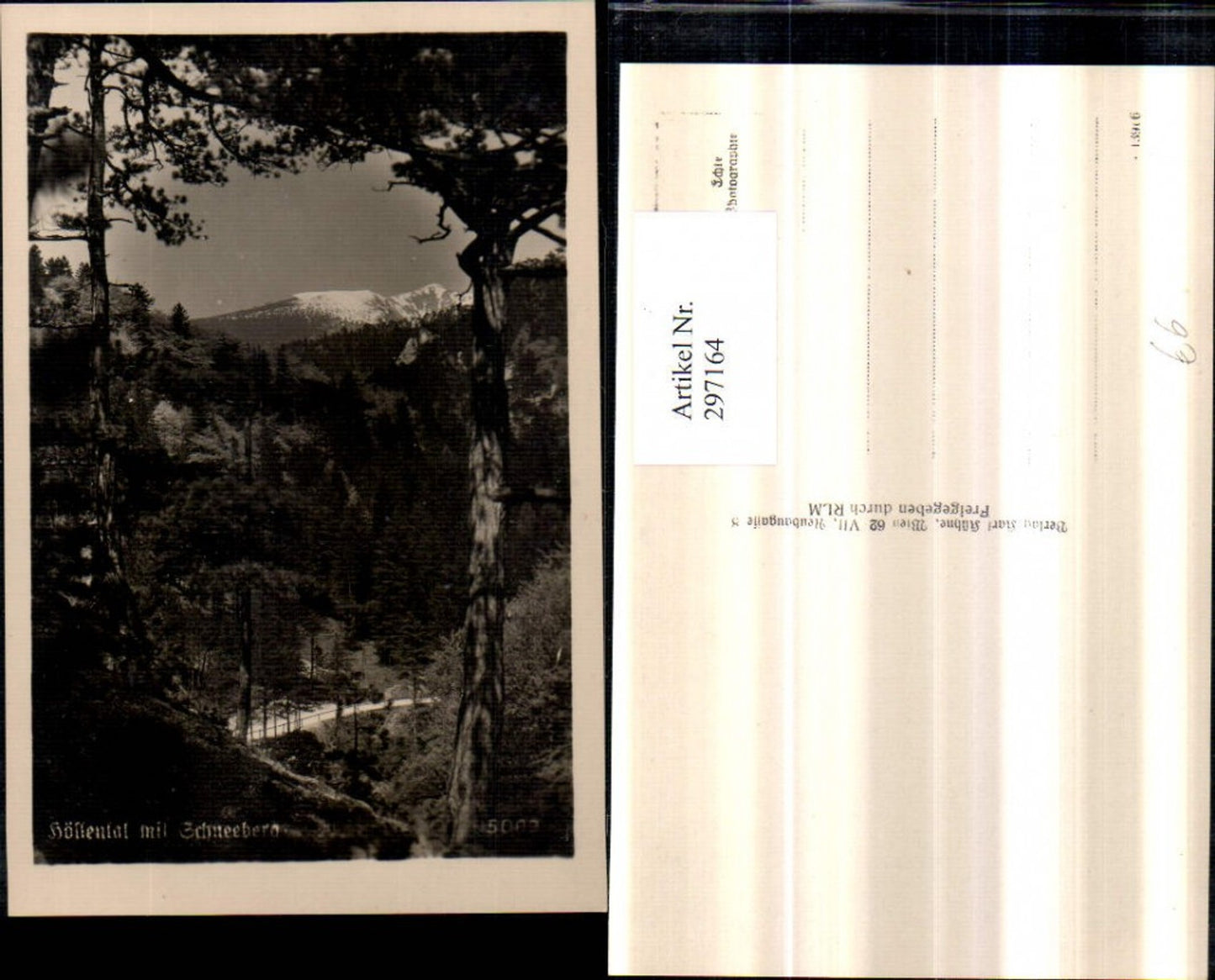 297164,Höllental m. Schneeberg Bergkulisse b. Naßwald Schwarzau