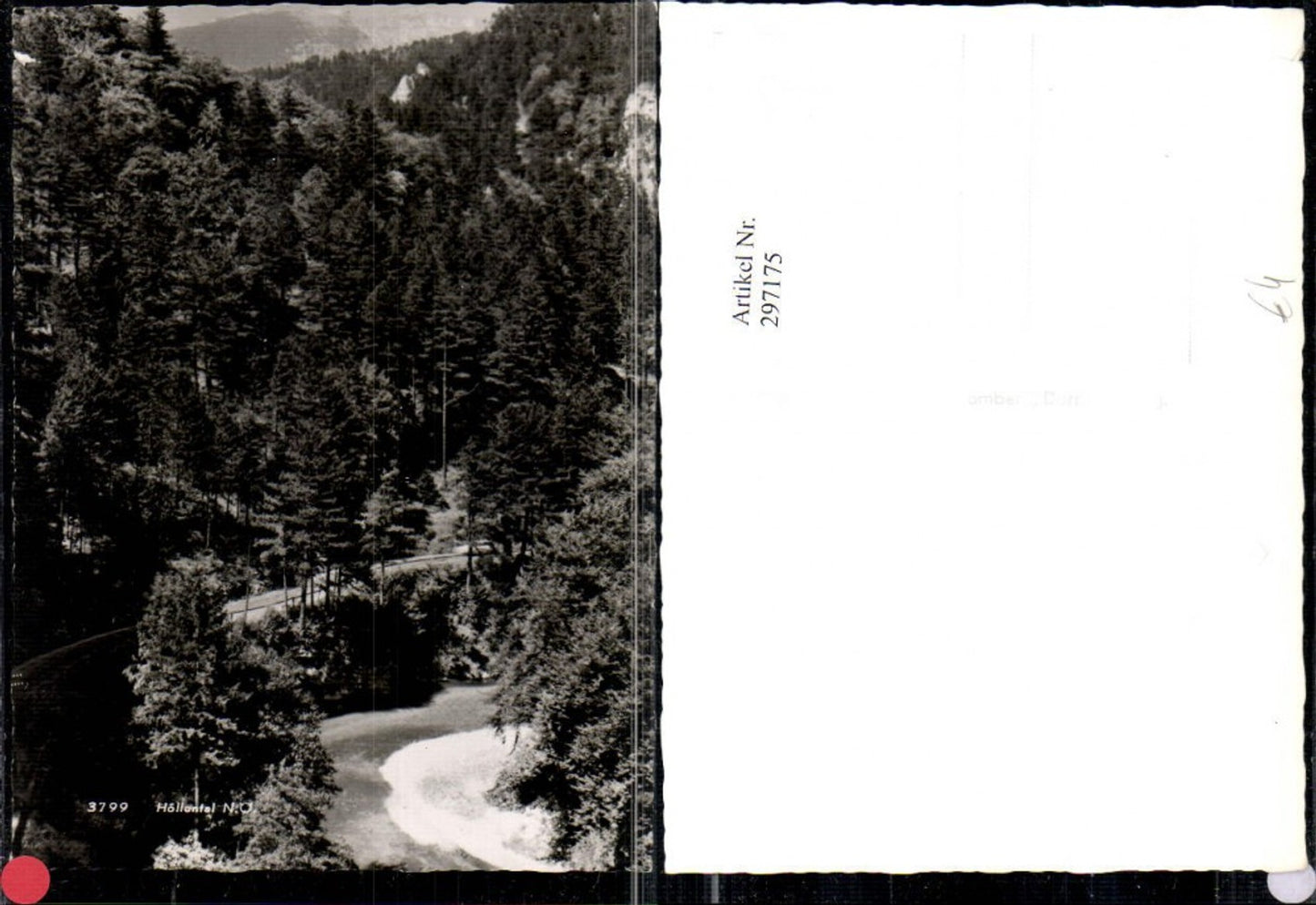 297175,Höllental Partie b. Naßwald Schwarzau im Gebirge