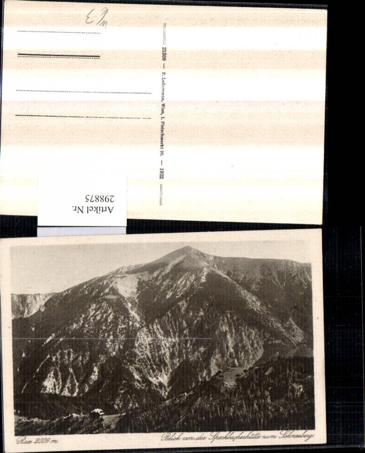 298875,Rax Blick von d. Speckbacherhütte zum Schneeberg Bergkulisse b. Breitenstein