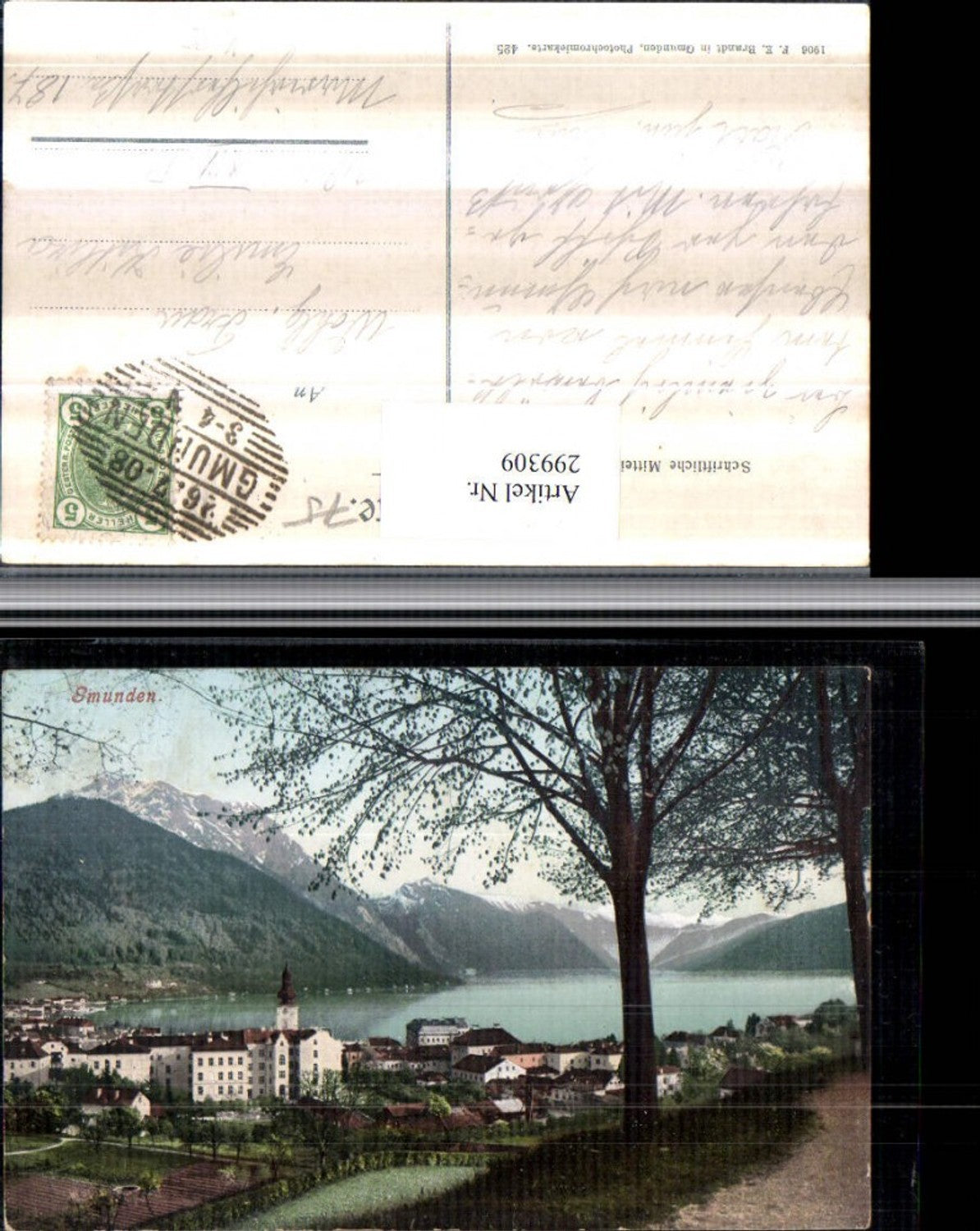 299309,Gmunden Totale Bergkulisse pub F. E. Brandt 425