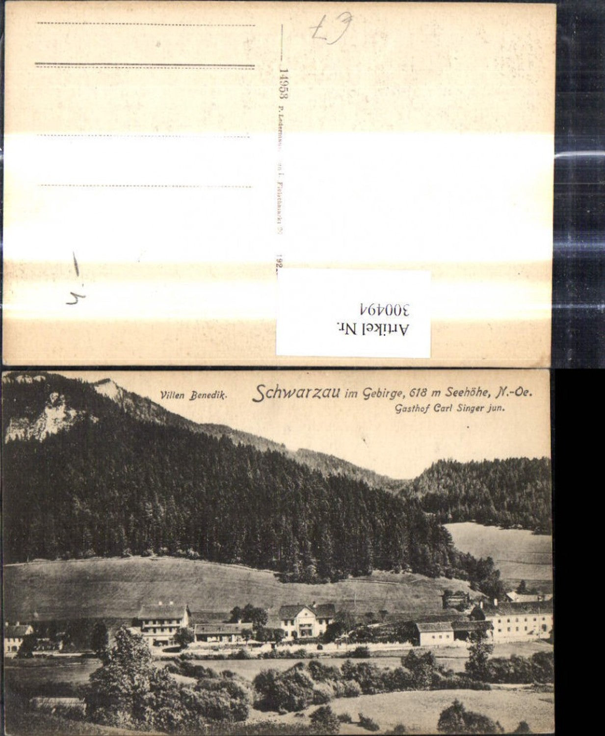 300494,Schwarzau im Gebirge Villen Benedikt Gasthof Carl Singer