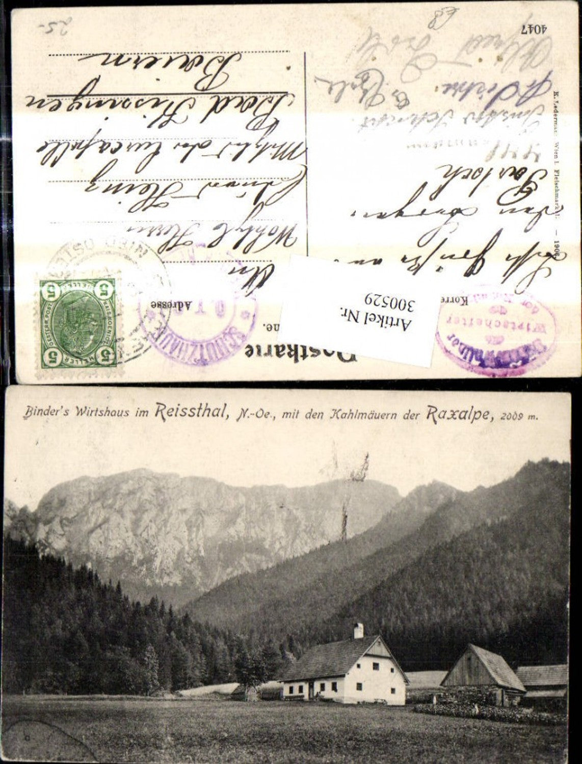 300529,Raxalpe Binders Wirtshaus i. Reißthal m. d. Kahlmäuern b. Naßwald Schwarzau