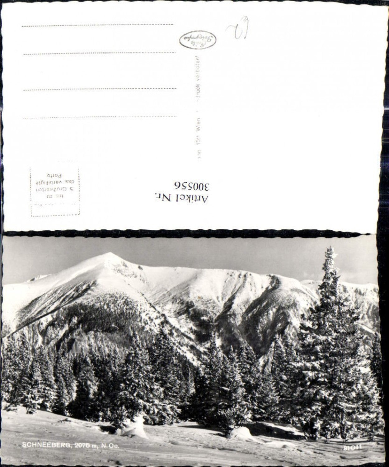 300556,Schneeberg Winteransicht b. Puchberg