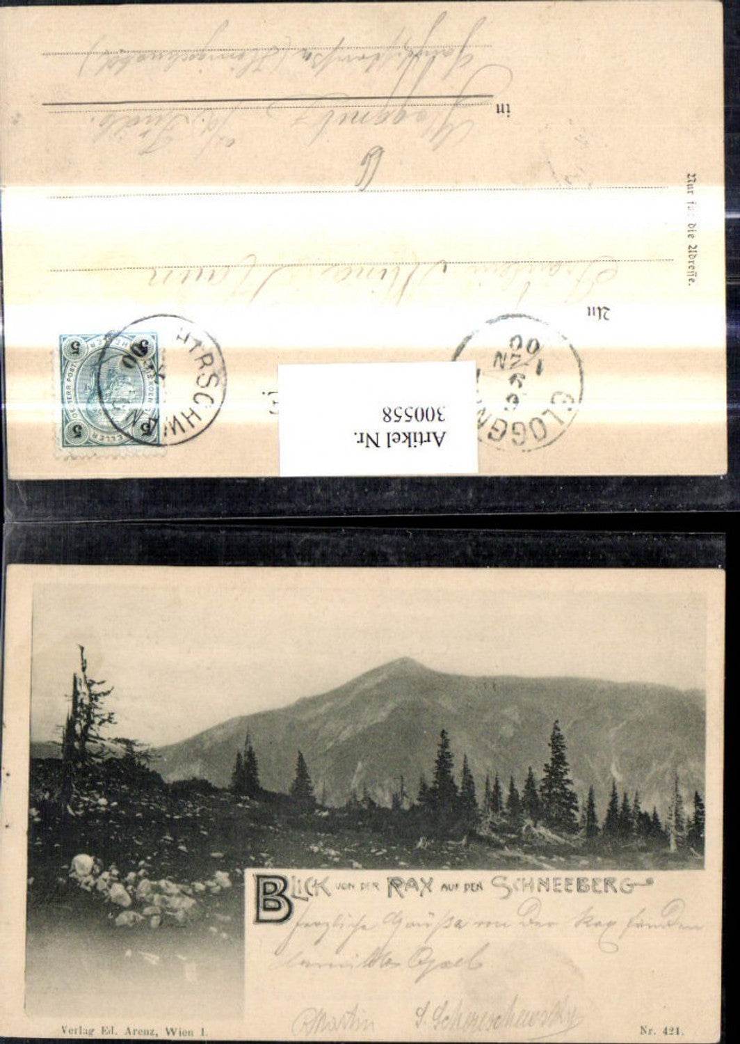 300558, View from Rax to Schneeberg, Reichenau, Hirschwang