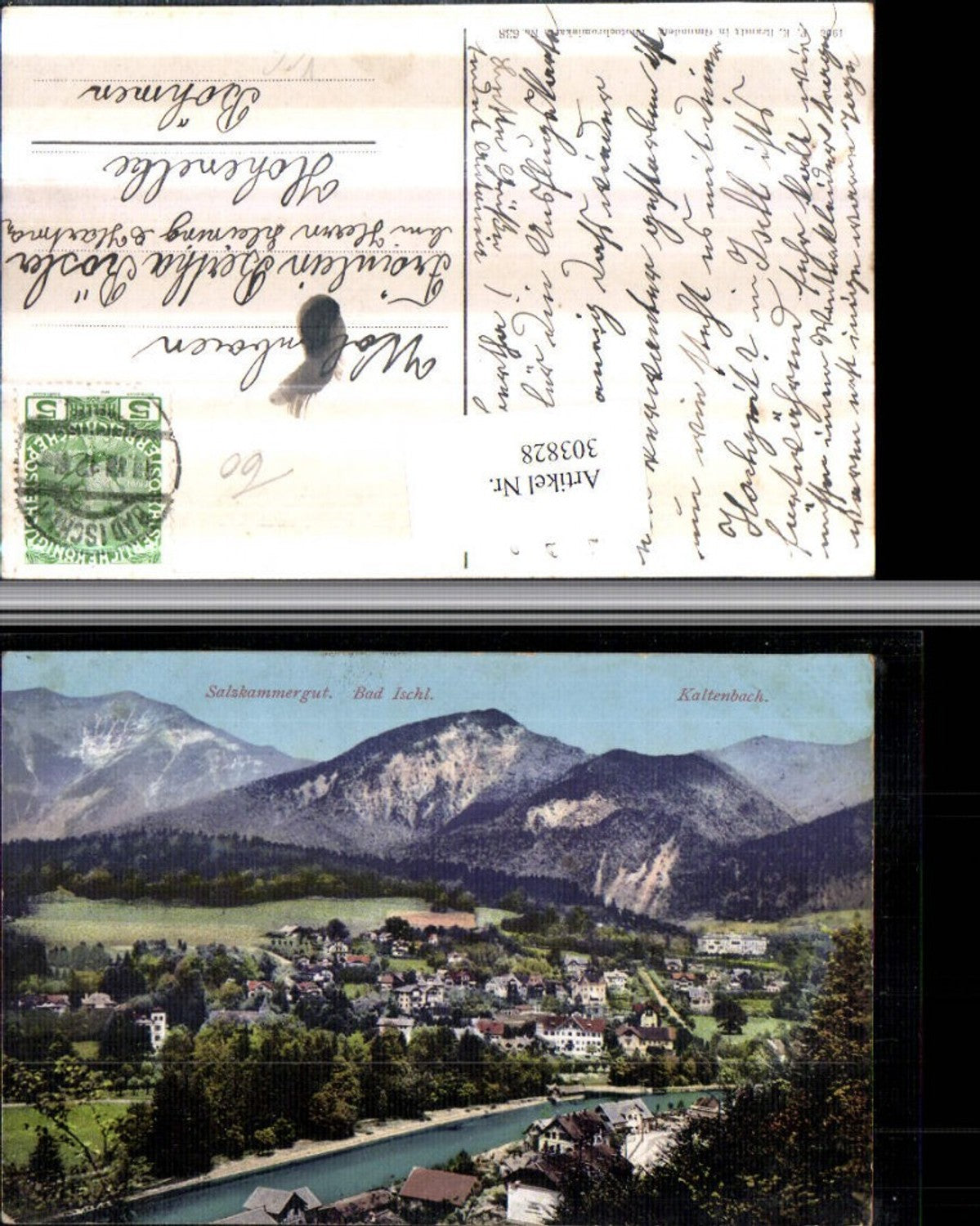 303828,Bad Ischl Totale m. Kaltenbach Bergkulisse pub F. E. Brandt 638