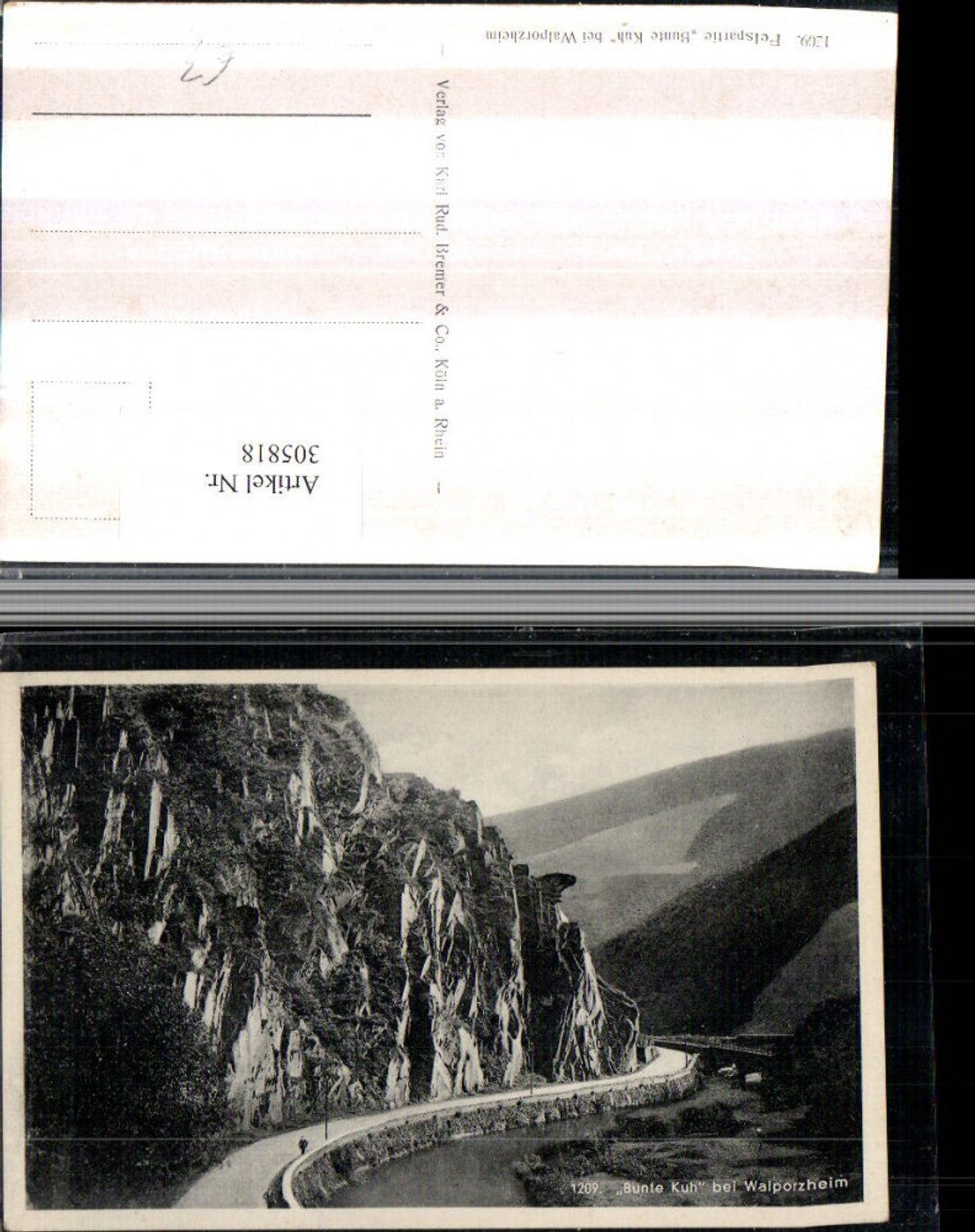 305818,Bunte Kuh Felswand b. Walporzheim