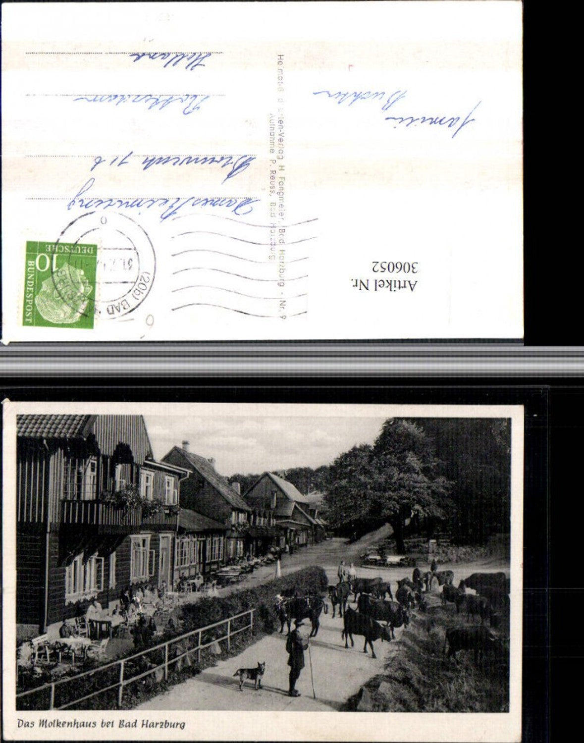 306052,Molkenhaus b. Bad Harzburg Kühe Rinder