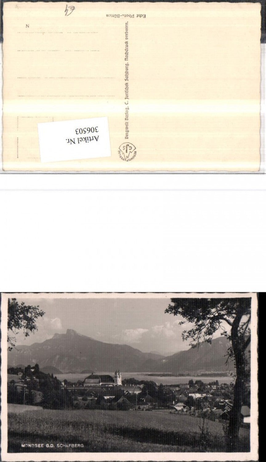 306503,Mondsee Teilansicht m. Kloster geg. Schafberg Bergkulisse