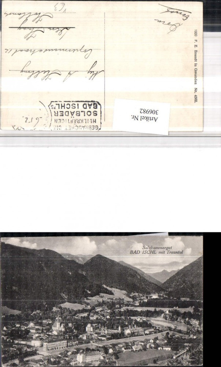 306982,Bad Ischl Totale m. Trauntal Bergkulisse pub F. E. Brandt 4560