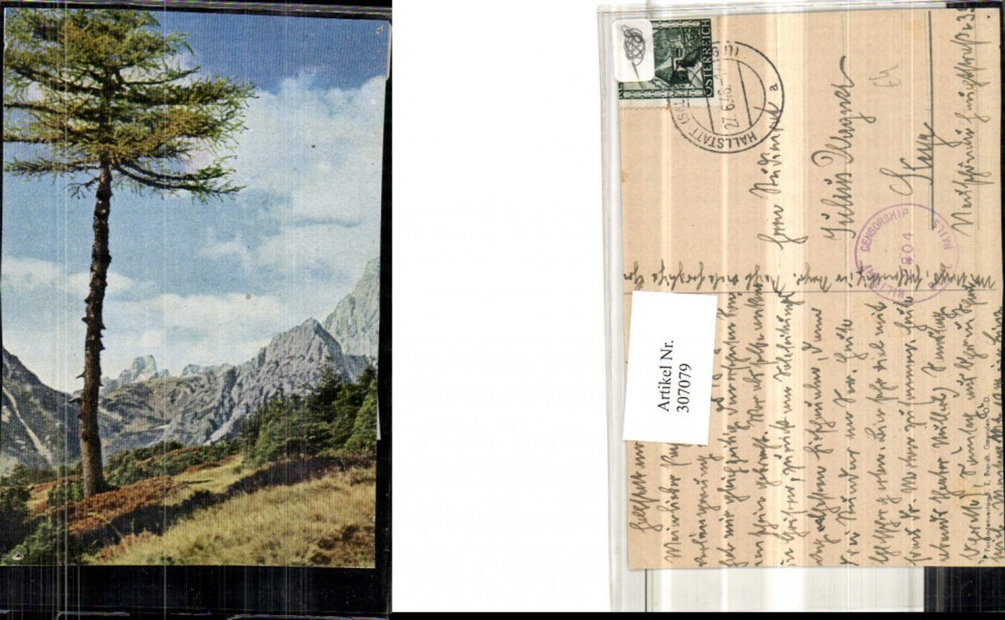 307079,Bergkulisse b. Hallstatt Motiv pub F. E. Brandt