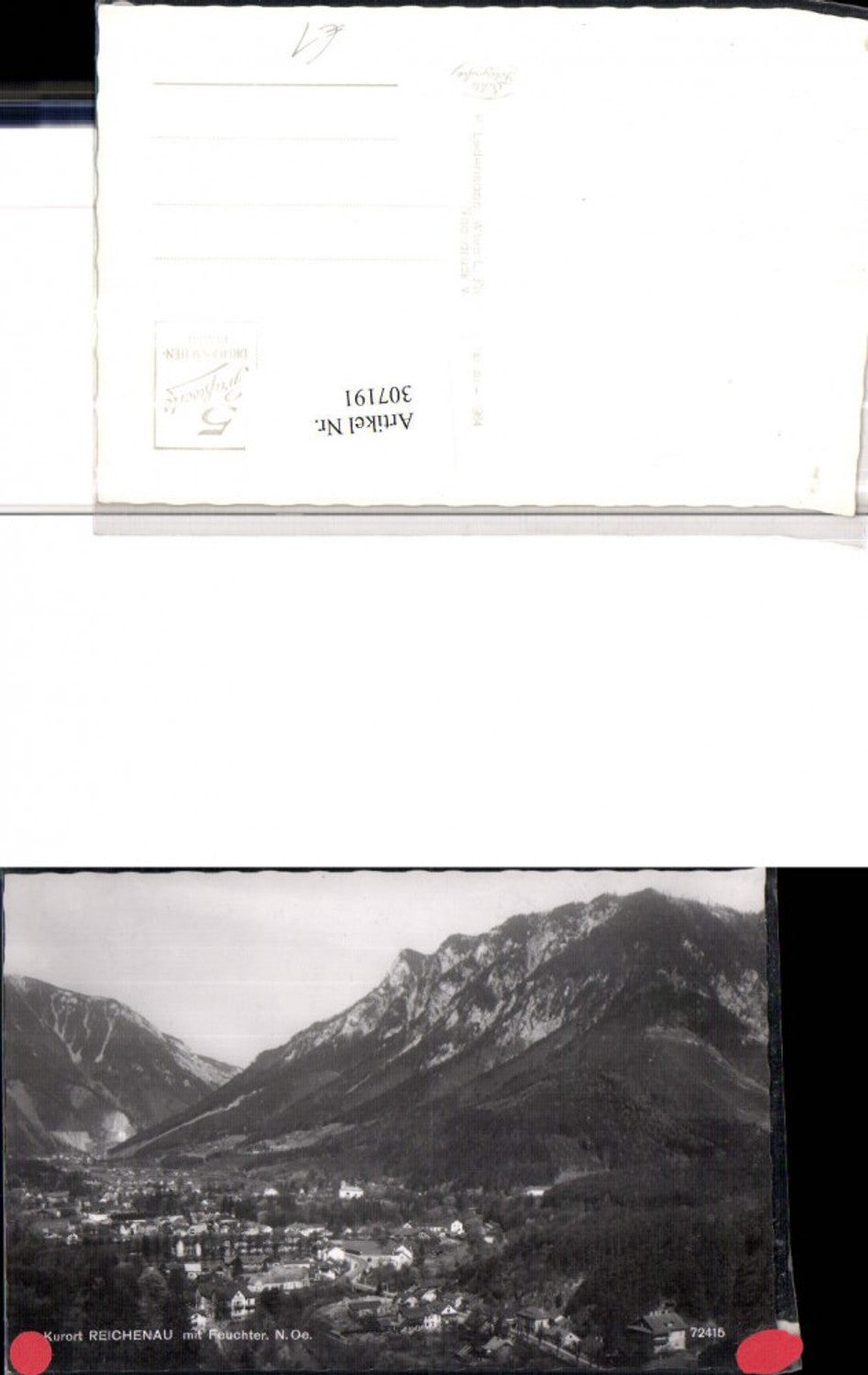 307191,Reichenau an d. Rax Totale m. Feuchter Bergkulisse