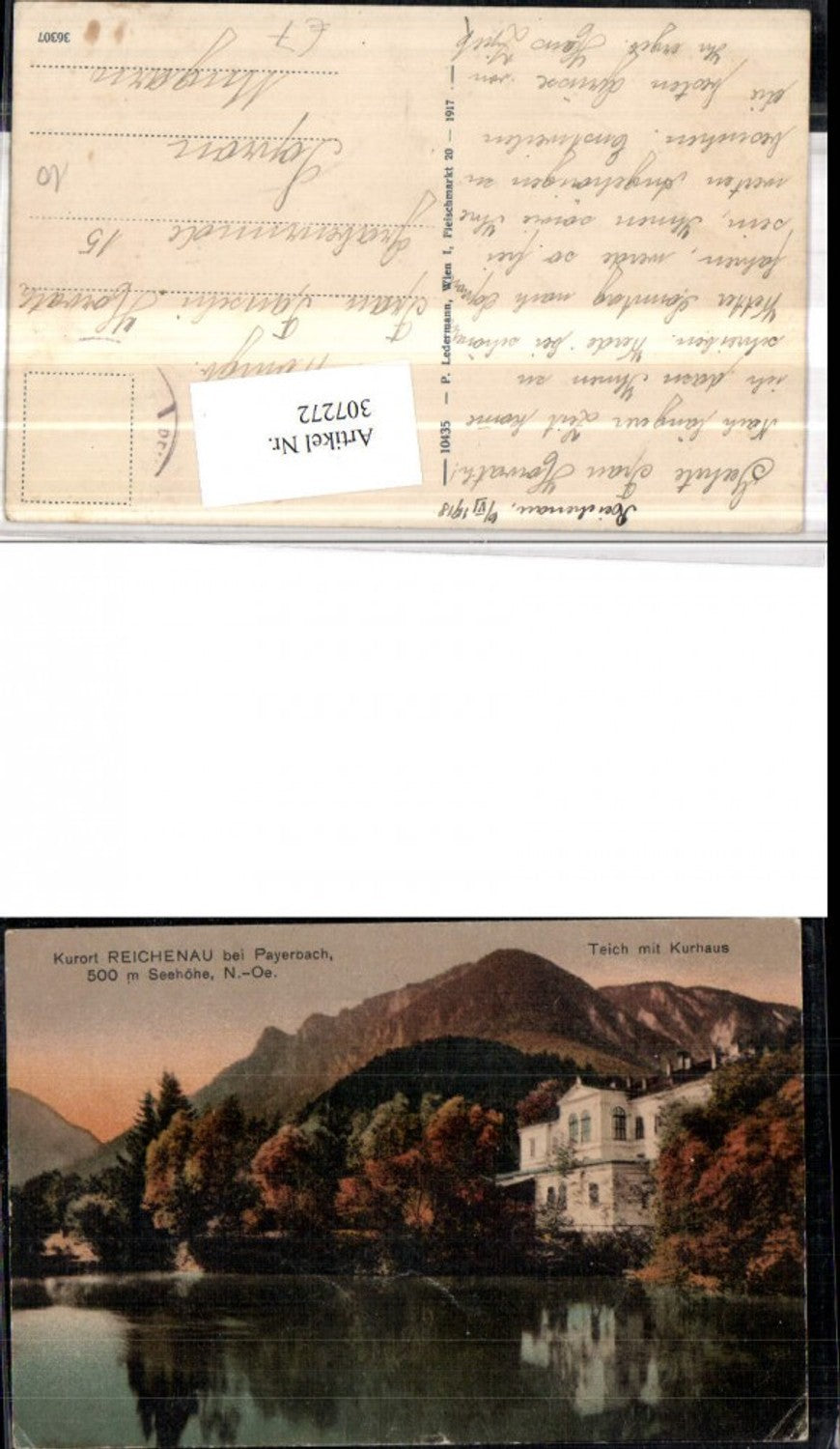 307272,Reichenau an d. Rax Teich m. Kurhaus Bergkulisse
