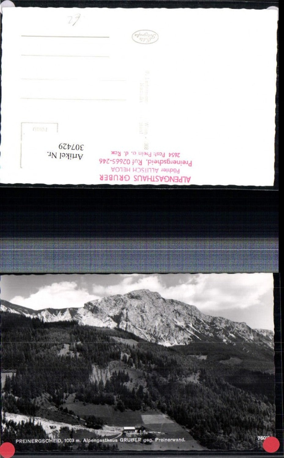 307429,Preiner-Gscheid Alpengasthaus Gruber gg. Preinerwand Bergkulisse