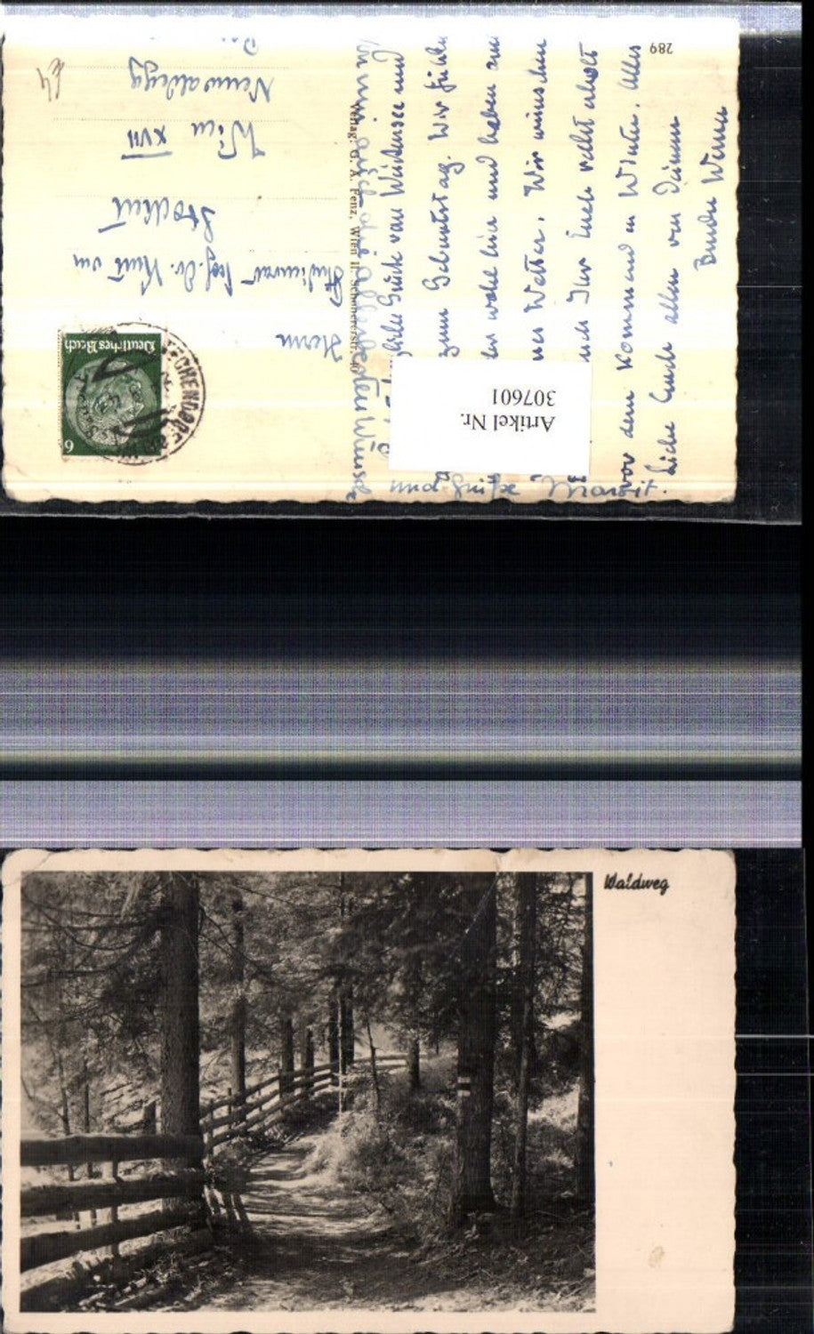 307601,Fotokunst Waldweg Wegpartie Bäume Holzzaun pub G. A. Fenz Wien