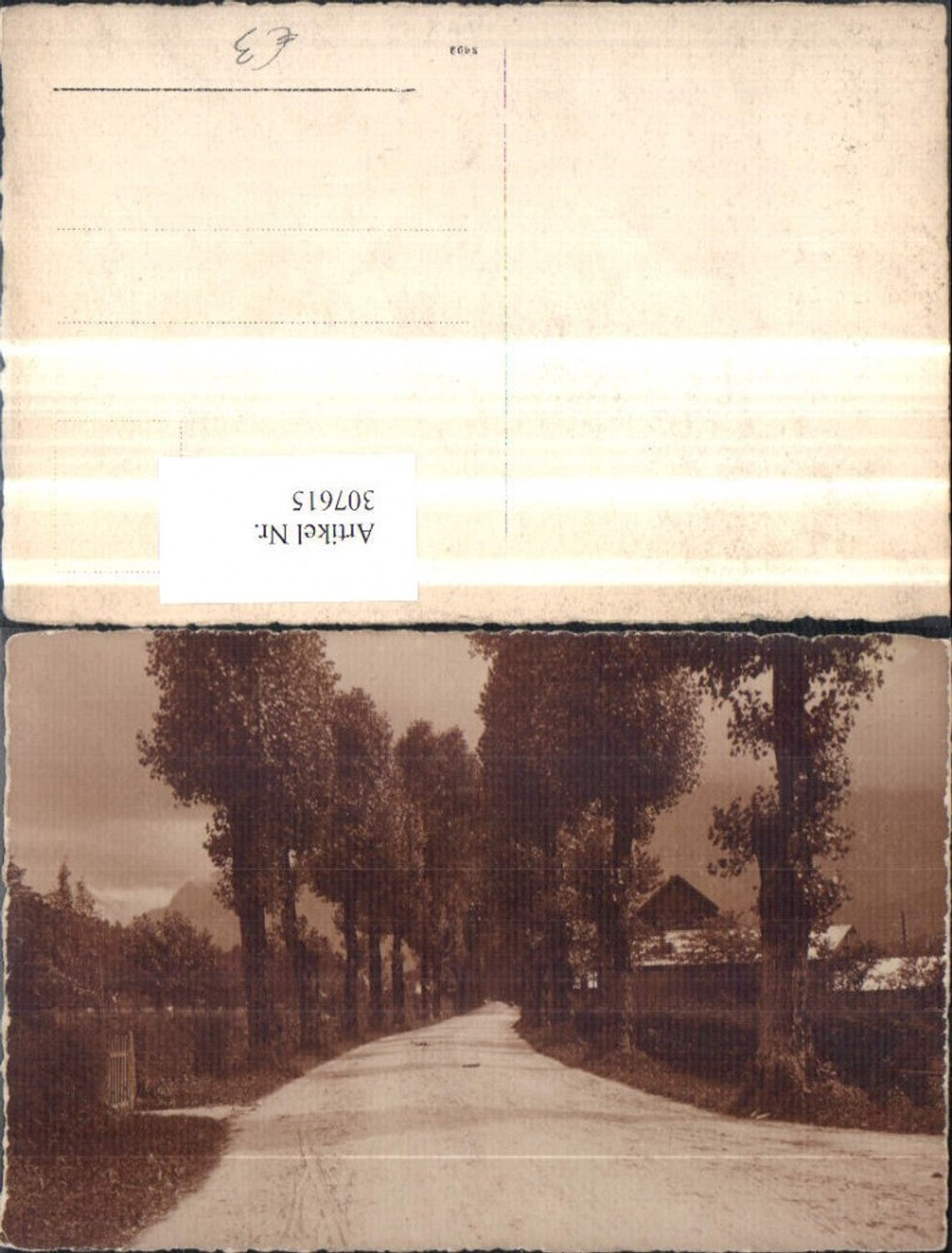 307615,Fotokunst Straße Wegpartie Allee Bäume