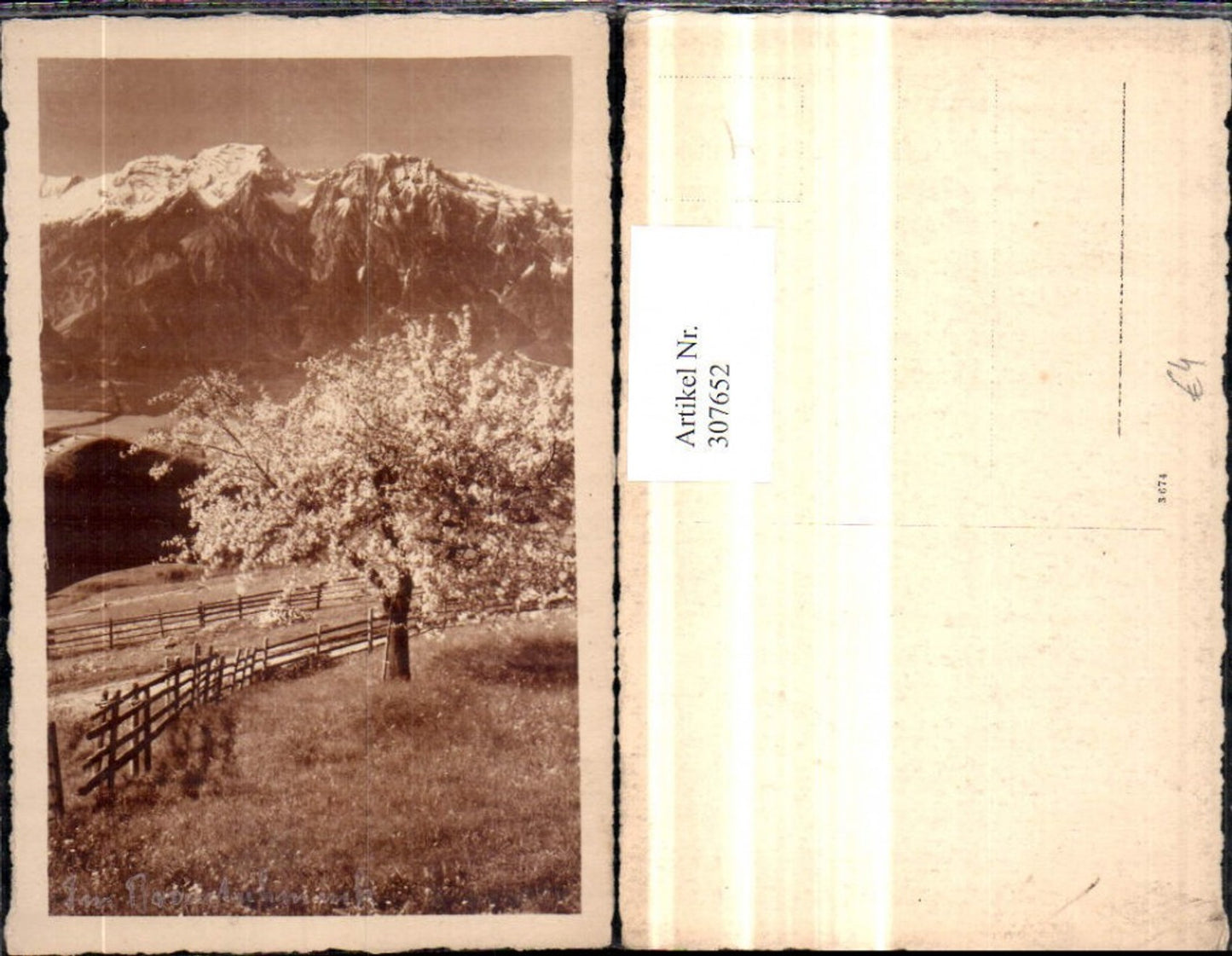 307652,Fotokunst Baumblüte Bergkulisse Gebirge