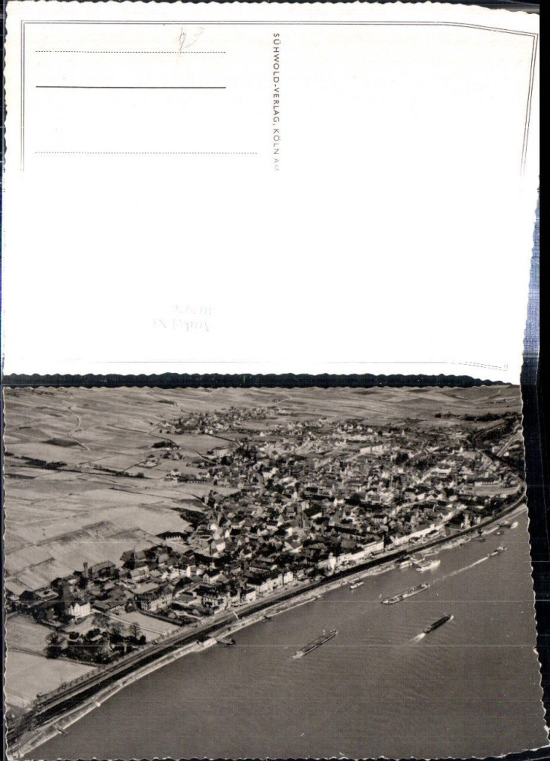 307976,Rüdesheim am Rhein Totale Fliegeraufnahme