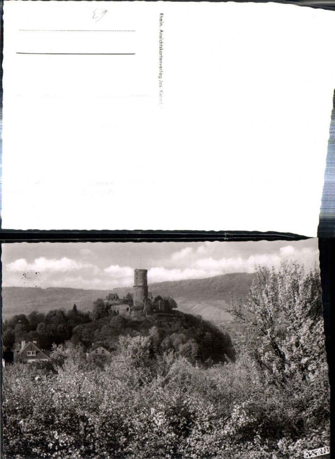 308064,Frühling in Bad Godesberg Burg Baumblüte