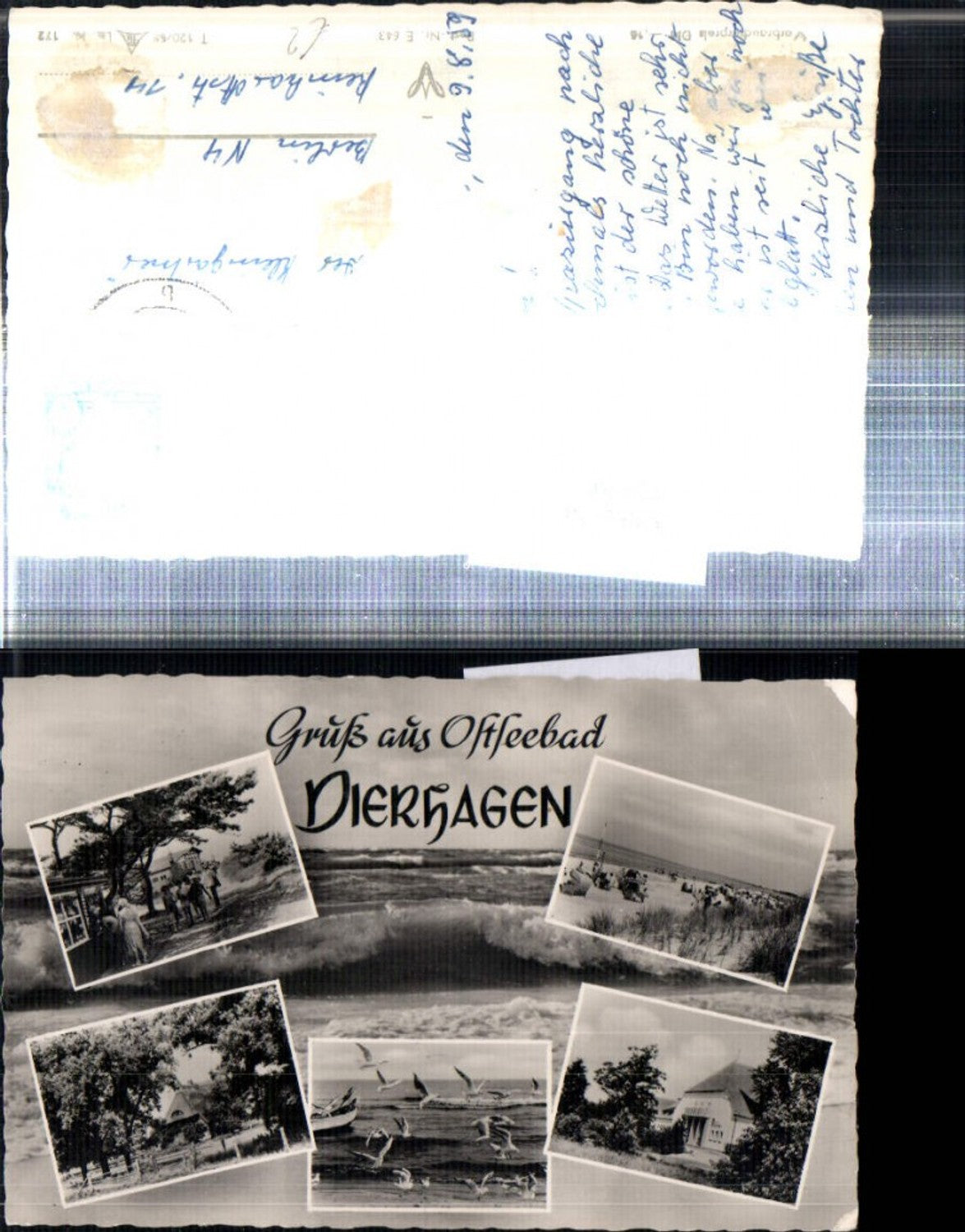 308170, Baltic Sea resort Dierhagen beach beach life seagulls multi-image postcard