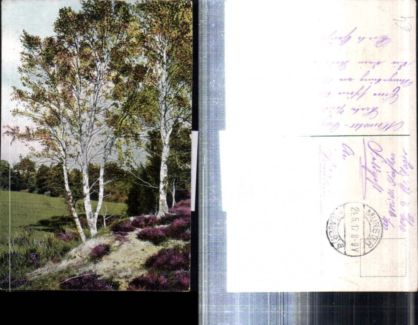 308182,Lüneburger Heide Birken am Oertzetal b. Munster Partie