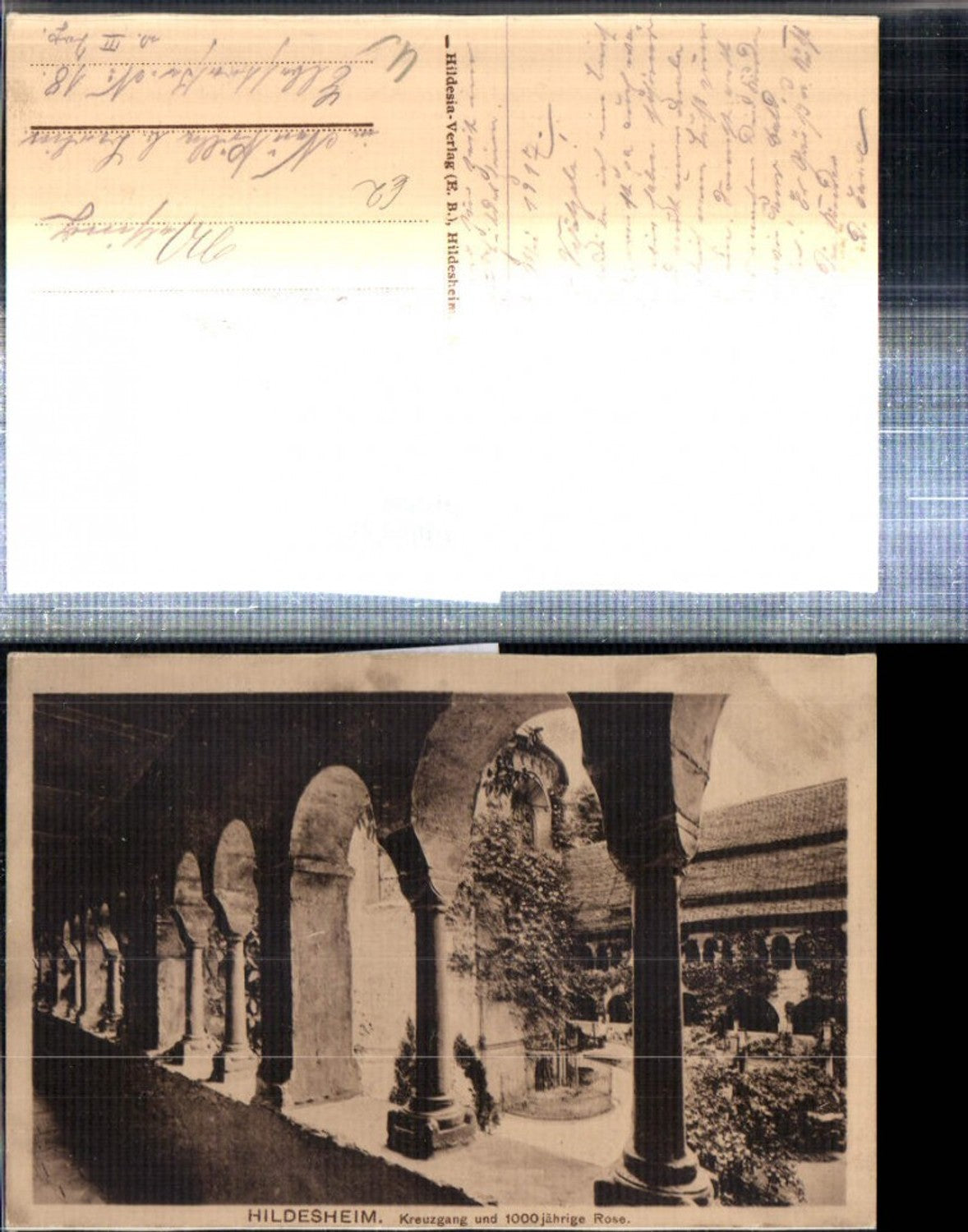 308209,Hildesheim Kreuzgang Arkaden m. 1000-jähriger Rose