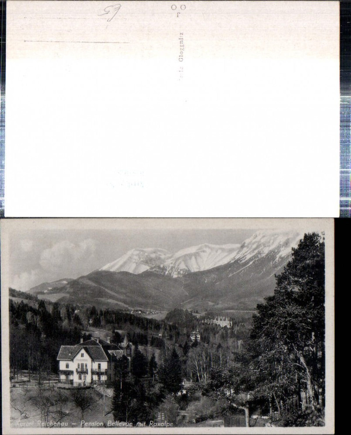 308968,Reichenau an d. Rax Pension Bellevue m. Raxalpe Bergkulisse
