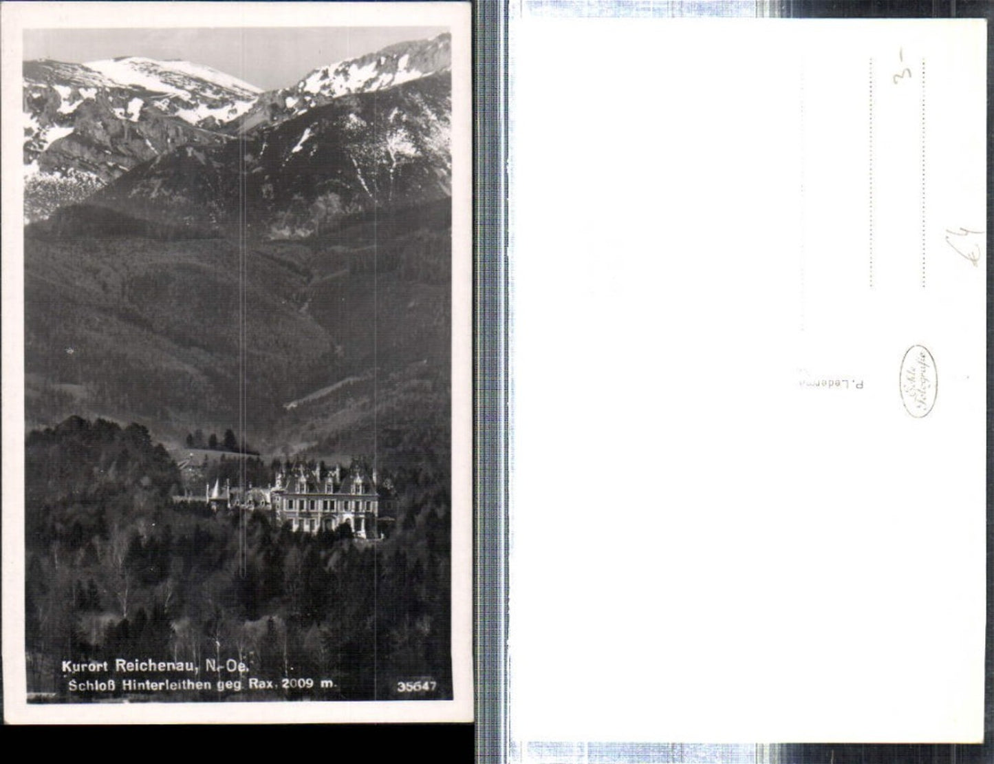 308975,Reichenau an d. Rax Schloss Hinterleithen geg. Rax Bergkulisse