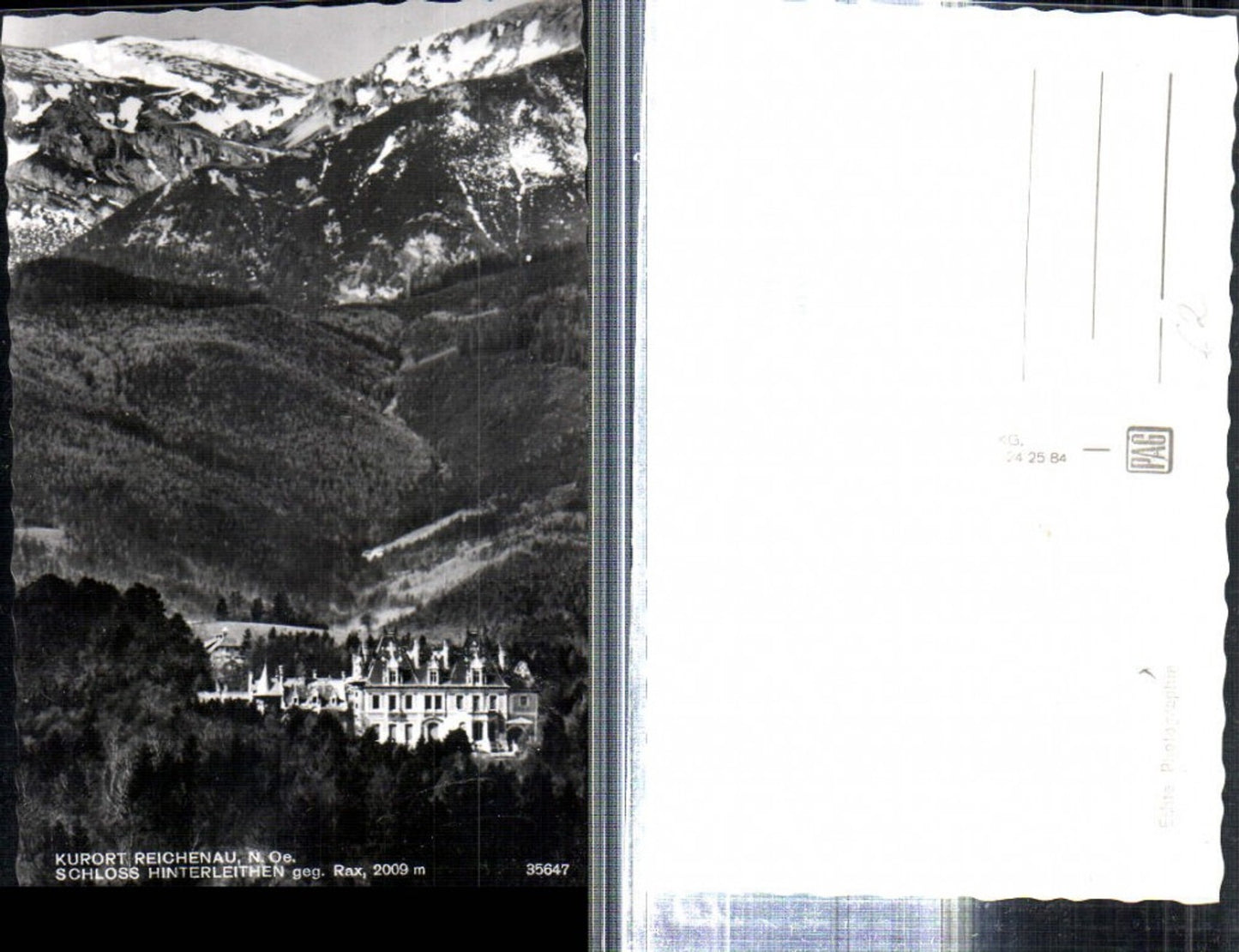 308977,Reichenau an d. Rax Schloss Hinterleithen geg. Rax Bergkulisse