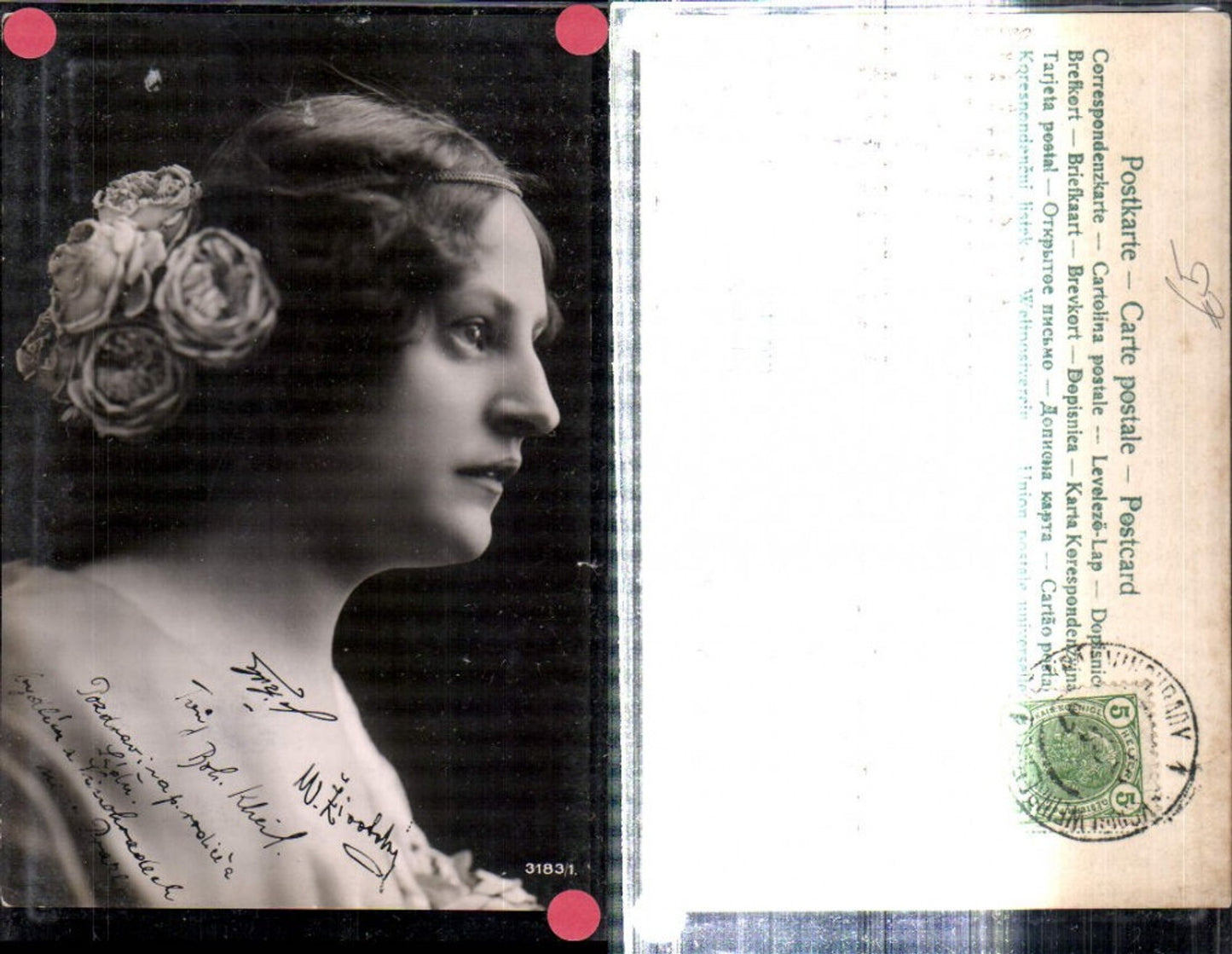 309247,Frau m. Haarbad Rosen in den Haaren Seitenportrait Portrait