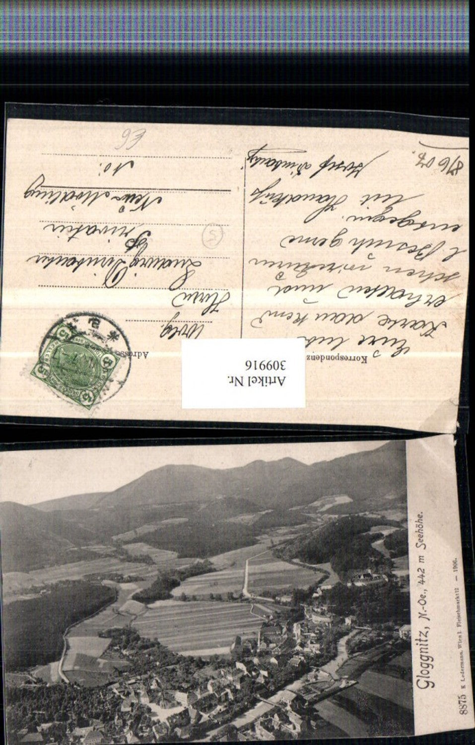 309916,Gloggnitz Totale Bergkulisse