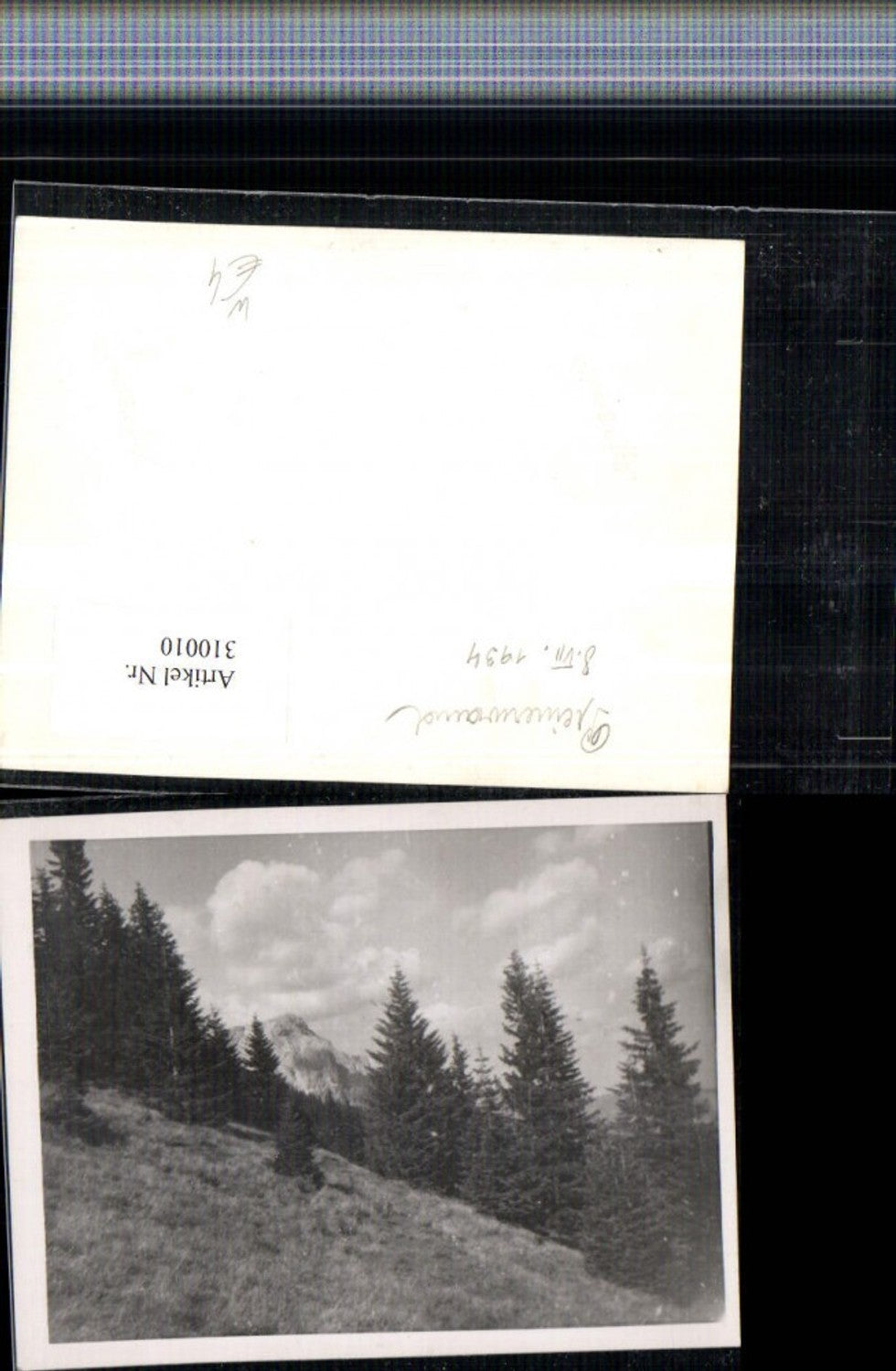 310010,Foto Preinerwand b. Prein an d. Rax Landschaft Wald 1934