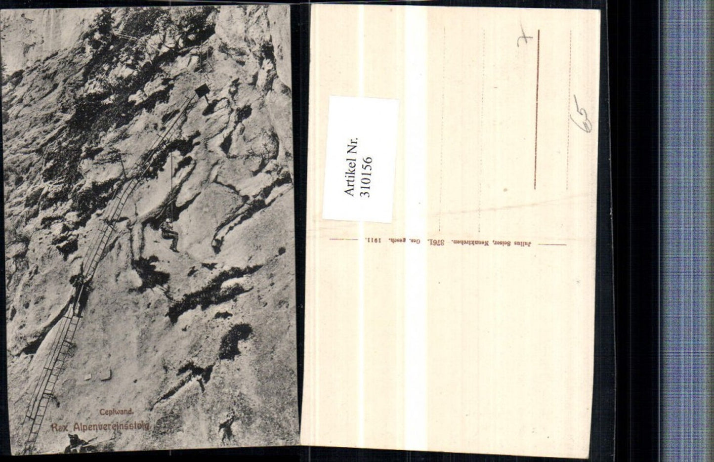 310156,Rax Alpenvereinssteig Ceplwand b. Reichenau Leiter pub Julius Seiser 3761