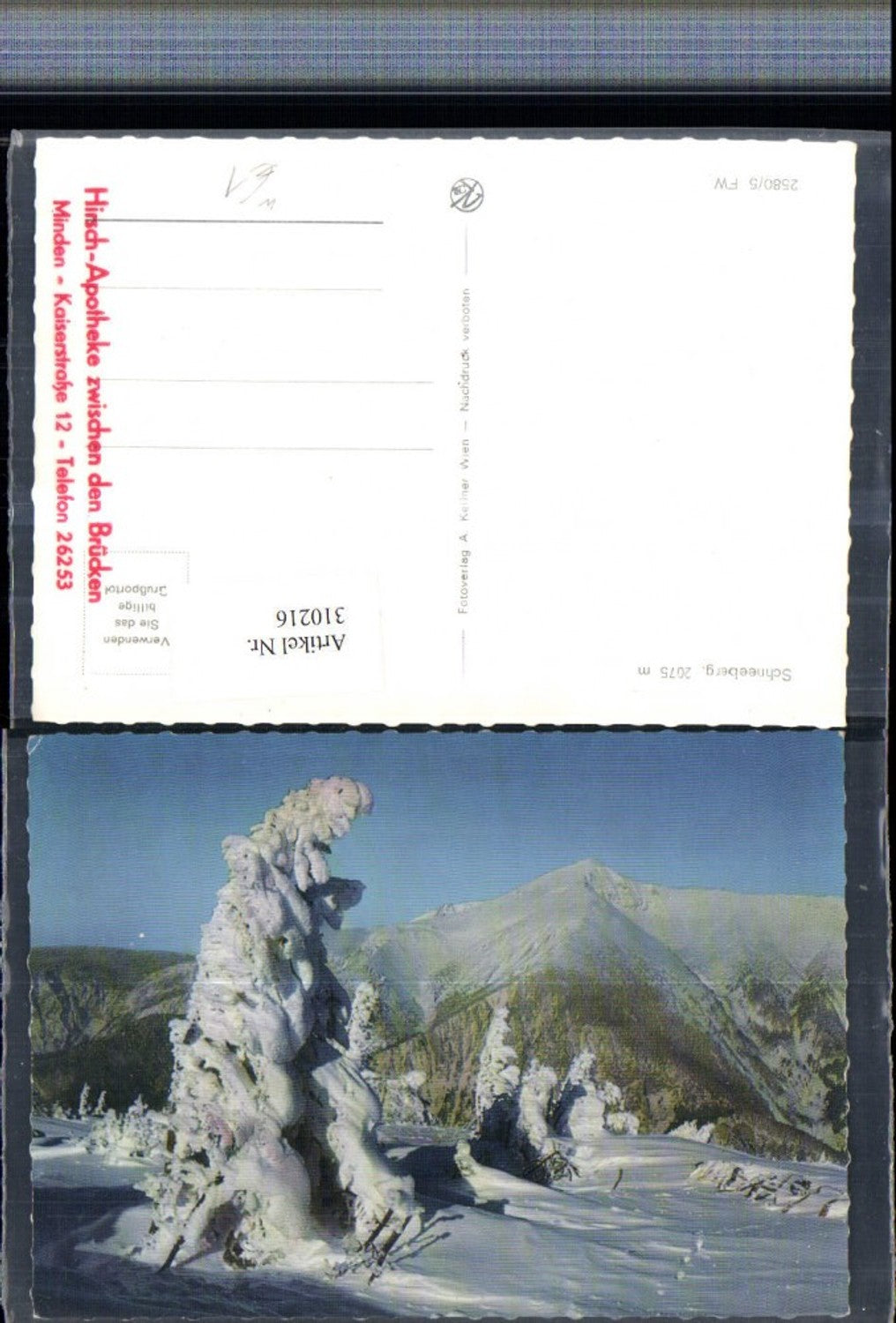 310216,Schneeberg b. Puchberg Bergkulisse Winterbild