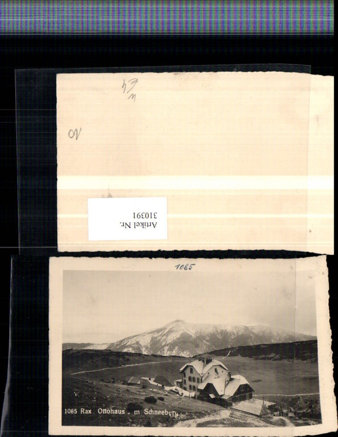 310391,Rax Ottohaus Berghütte m. Schneeberg Bergkulisse b. Reichenau