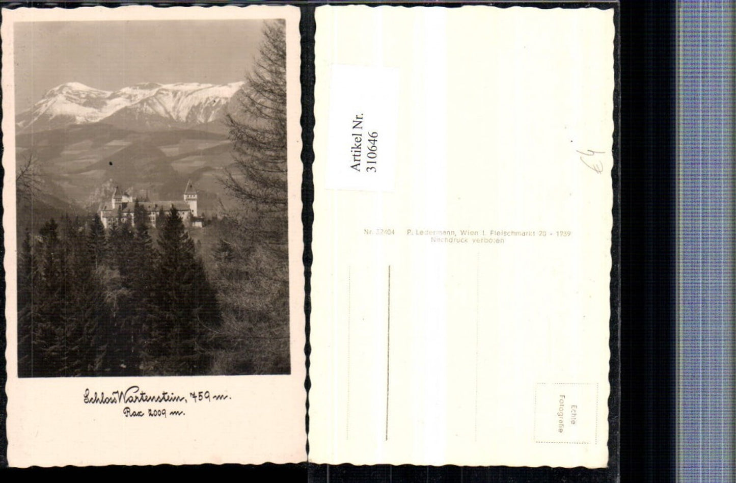 310646,Schloss Burg Wartenstein b. Gloggnitz geg. Rax Bergkulisse