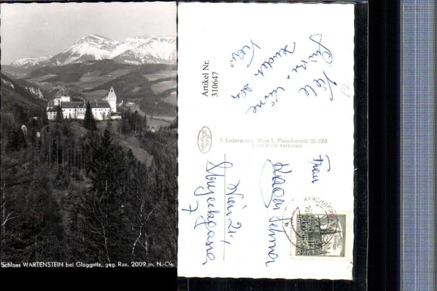 310647,Schloss Burg Wartenstein b. Gloggnitz geg. Rax Bergkulisse