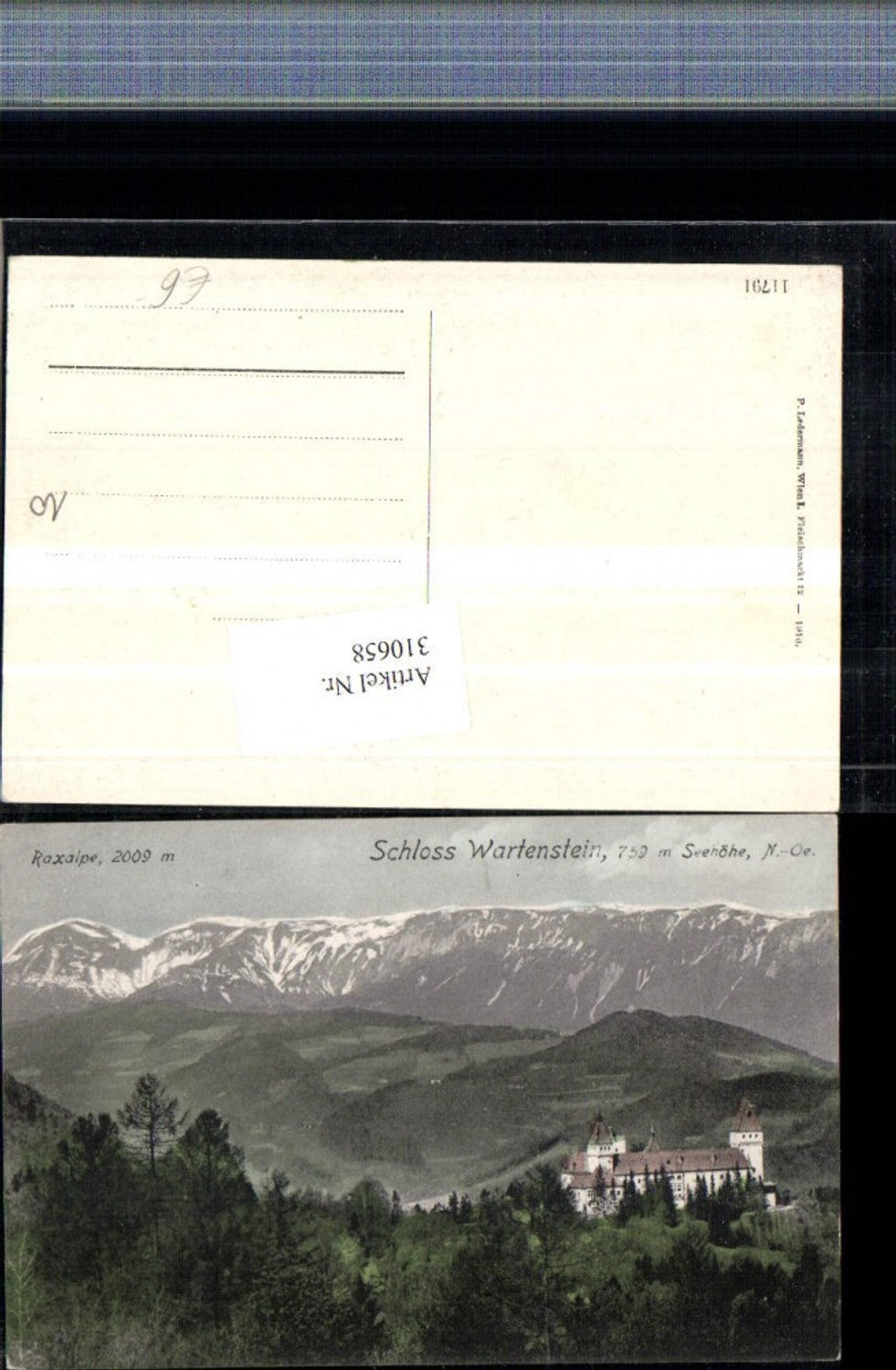 310658,Schloss Burg Wartenstein b. Gloggnitz m. Raxalpe Bergkulisse