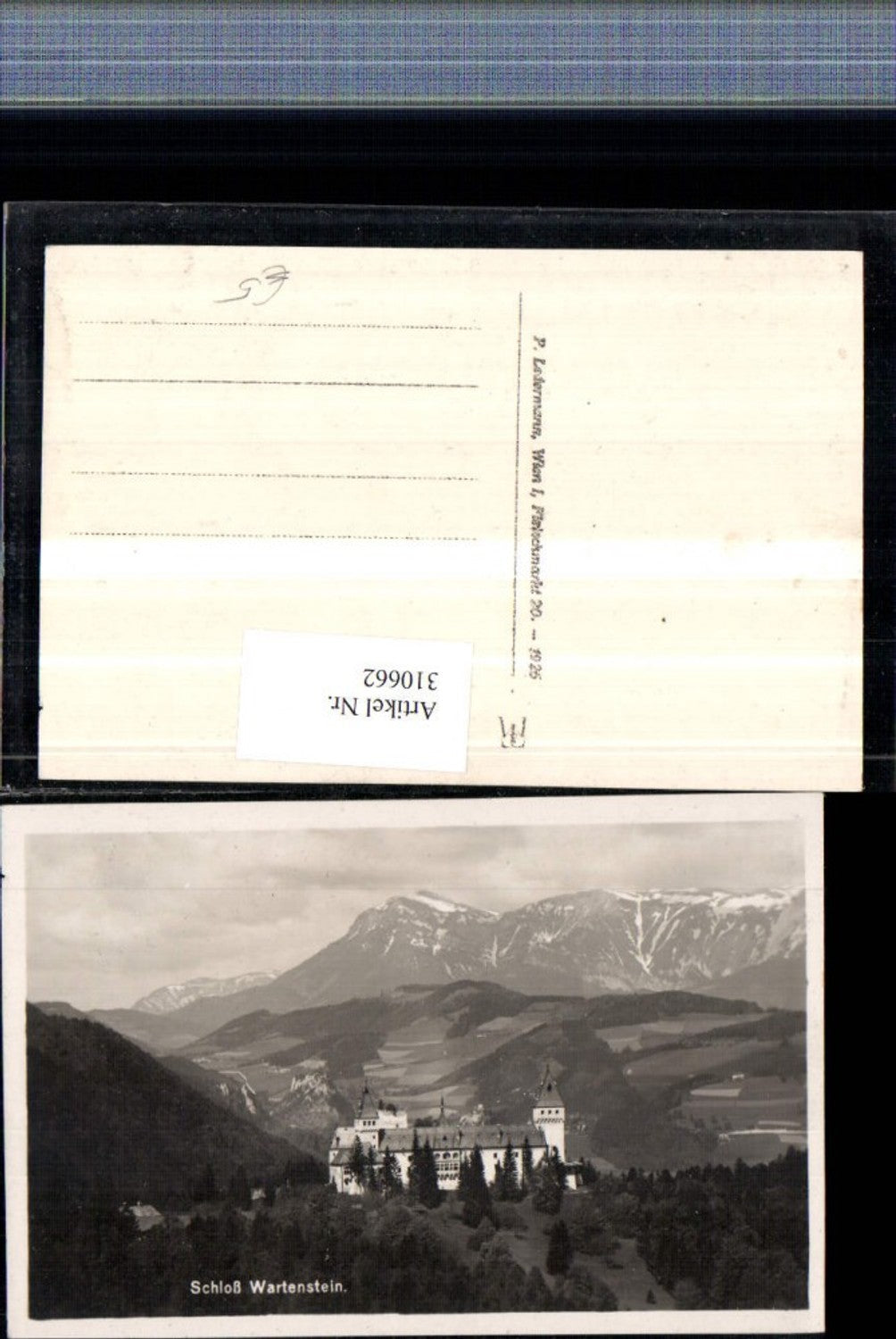 310662,Schloss Burg Wartenstein b. Gloggnitz Bergkulisse