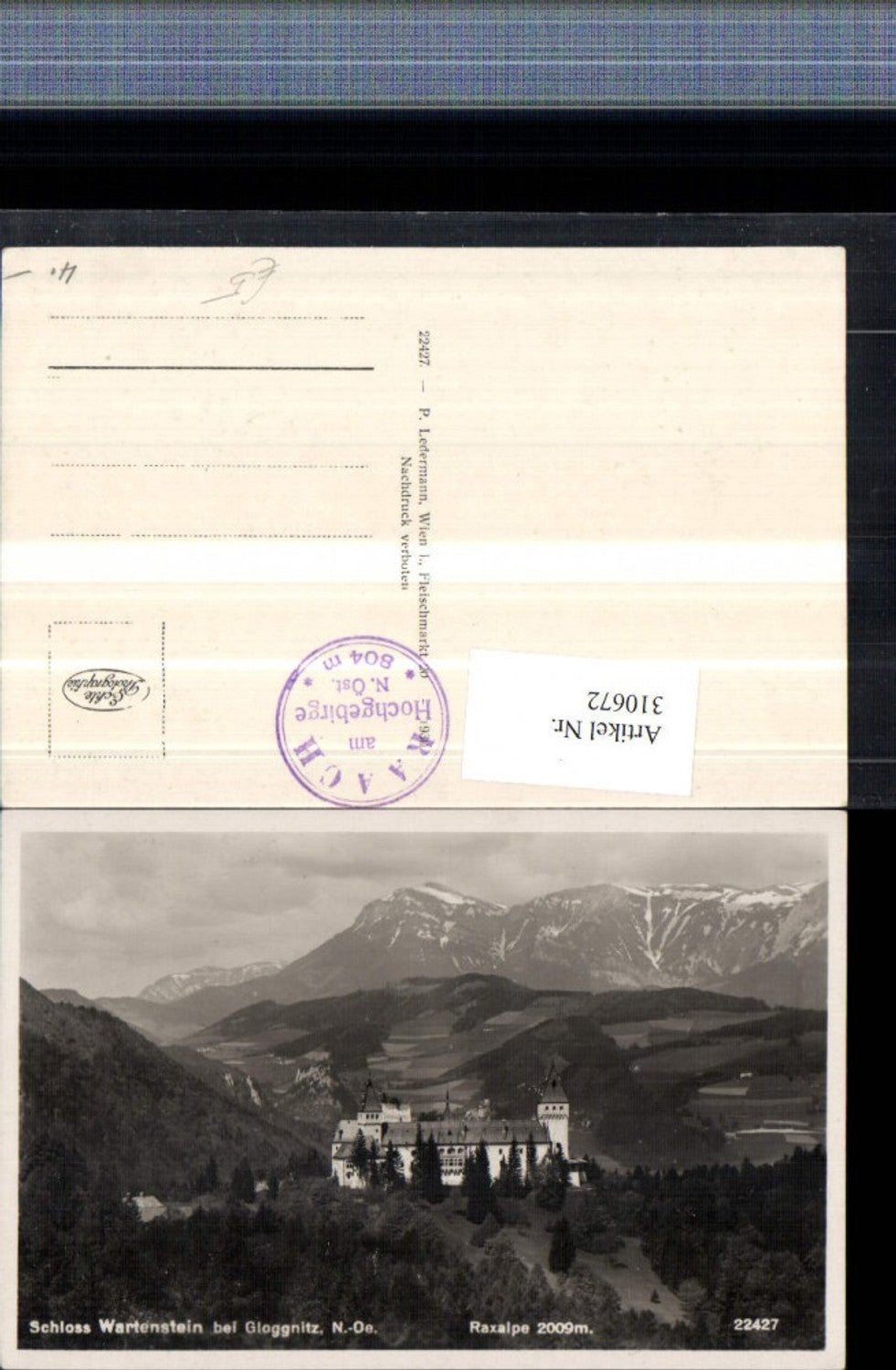 310672,Schloss Burg Wartenstein b. Gloggnitz m. Raxalpe Bergkulisse
