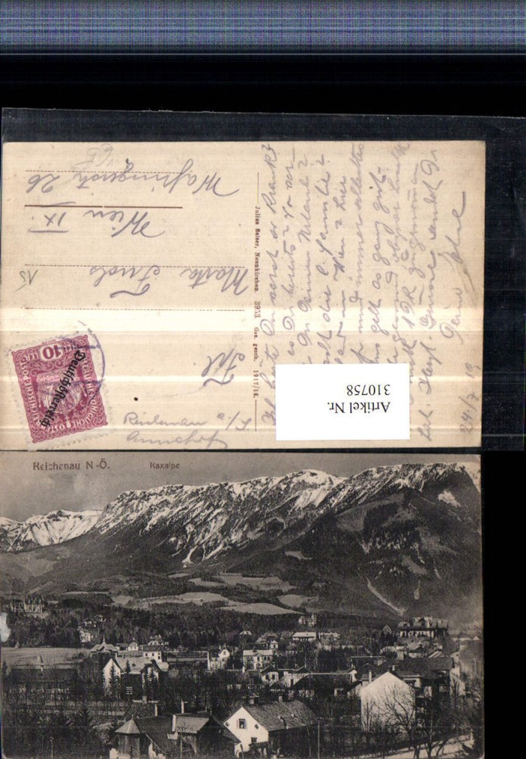 310758,Reichenau an d. Rax Teilansicht m. Raxalpe Bergkulisse pub Julius Seiser 3953
