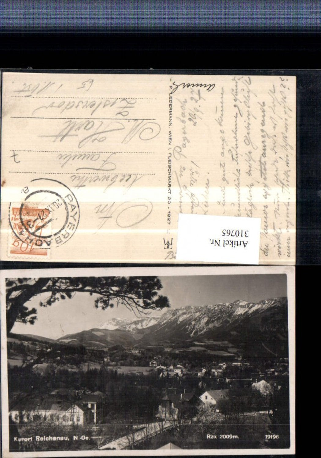 310765,Reichenau an d. Rax Teilansicht m. Rax Bergkulisse