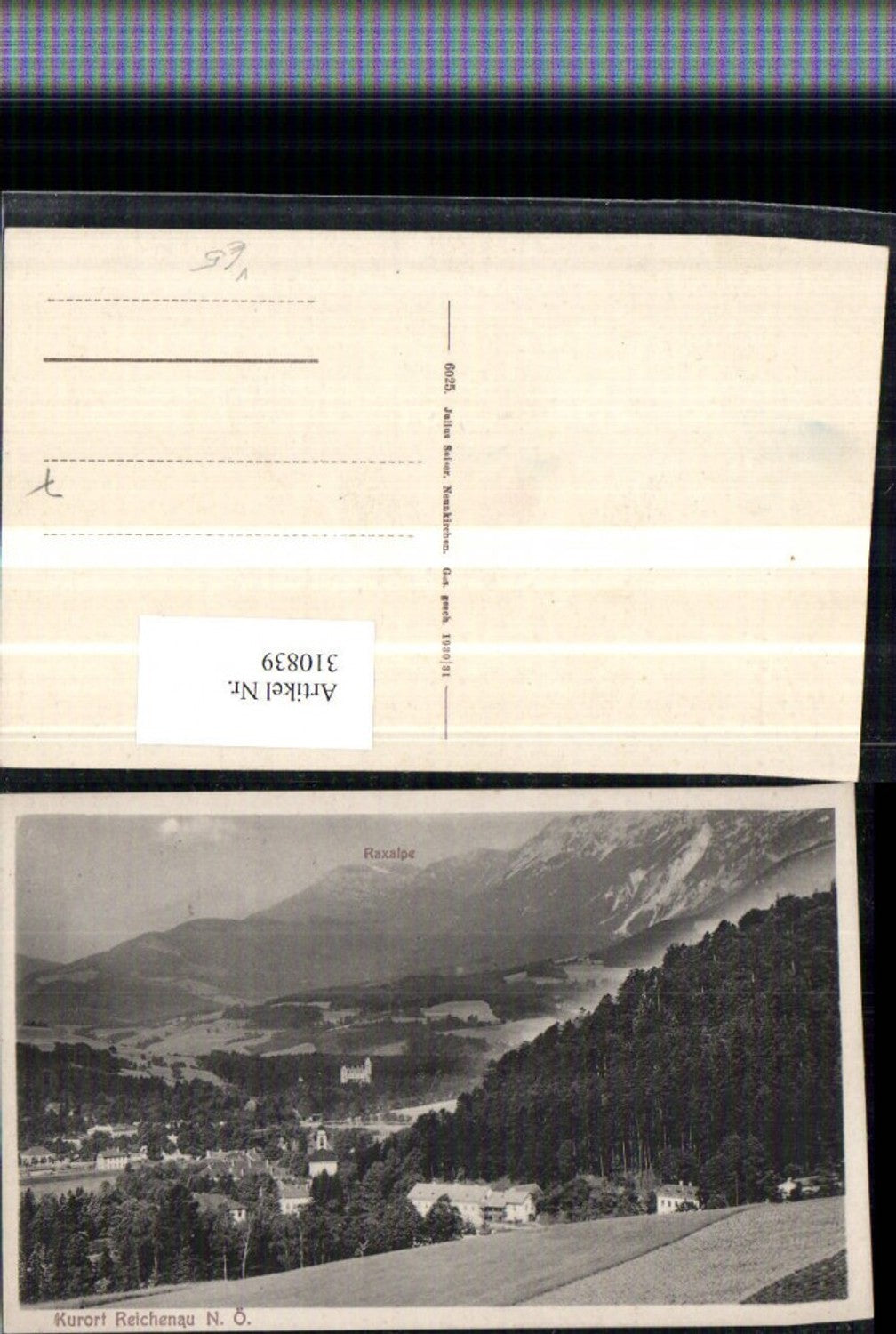310839,Reichenau an d. Rax Teilansicht m. Raxalpe Bergkulisse pub Julius Seiser 6025