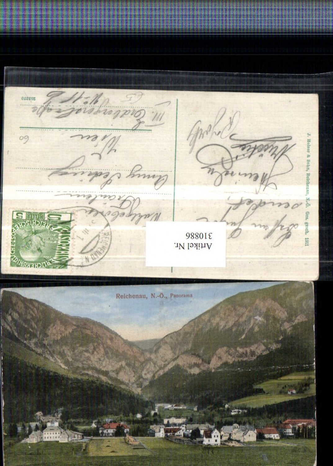 310886,Reichenau an d. Rax Panorama Teilansicht