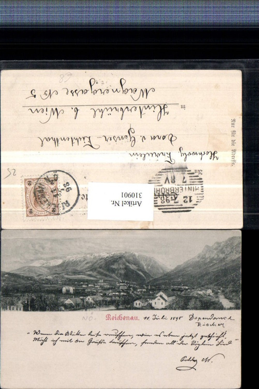 310901,Reichenau an d. Rax Totale Bergkulisse