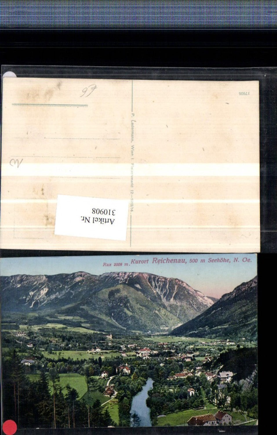 310908,Reichenau an d. Rax Totale m. Rax Bergkulisse