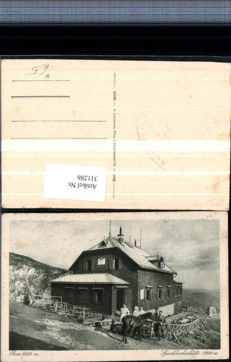 311286,Rax Speckbacherhütte Berghütte b. Breitenstein Pferd