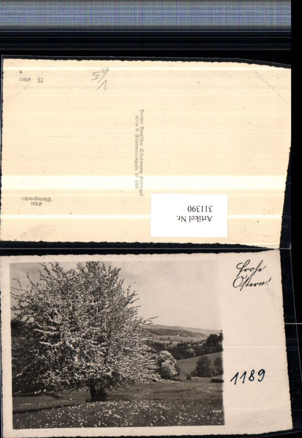 311390,Deutscher Schulverein 1189 Ostern Landschaft Baumblüte